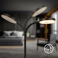 Tischleuchte Briloner 12 Watt LED Schwarz Tischlampe...