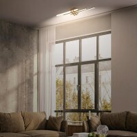 Deckenleuchte Briloner Frame 21 Watt LED Schwarz / Holz Deckenlampe