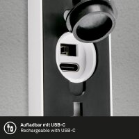 Akku-Leuchte Briloner Wandlampe 8,5 Watt LED Weiß Bewegungsmelder, Dämmerungssensor IP44 Wandleuchte