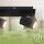 Strahler Briloner 3er Spot Schwarz GU10 2,5 Watt LED Ultraenergieeffizient Deckenlampe