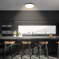 Deckenleuchte Briloner 48 Watt LED Schwarz-Gold Deckenlampe Fernbedienung dimmbar CCT 51 cm
