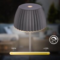 Akku-Leuchte Briloner Riffle Mini 1,5 Watt LED Erdspieß Anthrazit IP44 Touchdimmer Beetleuchte