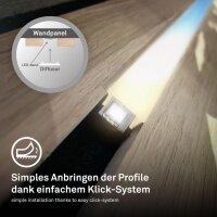Starter-Set LED-Stripe Basis-Set für Wandpaneele, Weiß, 260 cm, 13 Watt, dimmbar – Briloner