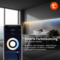 Starter-Set LED Stripe Briloner 10 Watt LED 200 cm Wifi CCT