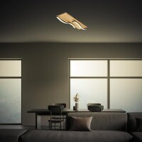Deckenleuchte Briloner Frame 2 x  5,5 Watt LED Holz Schwarz Deckenlampe