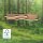 Deckenleuchte Briloner Frame 2 x  5,5 Watt LED Holz Schwarz Deckenlampe