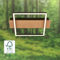 Deckenleuchte Briloner 14 Watt LED Frame Holz Deckenlampe 34 x 26 cm
