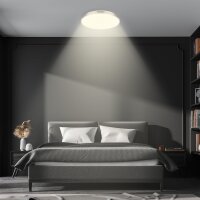 Deckenleuchte Briloner Sternenhimmel 24 Watt LED Deckenlampe 38 cm Fernbedienung dimmbar CCT Nickelmatt