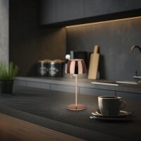 Akku-Tischleuchte Akku-Leuchte, Kupfer, 2,5 Watt, 150lm, 2700K, Touchdimmer, IP44 – Briloner