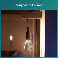 Leuchtmittel Philips E27 2,3 Watt LED Flame Kaminfeuer 100 Lumen 1800K