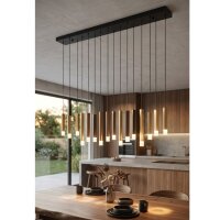 Deckenleuchte Eglo Estanterios 16 x 3 Watt LED Schwarz...