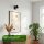 Strahler Briloner 2,5 Watt Spot Schwarz Ultraenergieeffizient Wandleuchte Wandlampe
