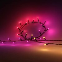 Lichterkette Philips HUE Festavia 7 Watt 100 LED´s Smart 8 Meter RGBW IP54