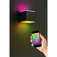 Paul Neuhaus Q-Amin LED Außenwandleuchte 9,6W RGBW...