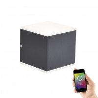 Paul Neuhaus Q-Amin LED Außenwandleuchte 9,6W RGBW Dimmbar Smart Home IP44 Anthrazit