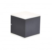 Paul Neuhaus Q-Amin LED Außenwandleuchte 9,6W RGBW Dimmbar Smart Home IP44 Anthrazit