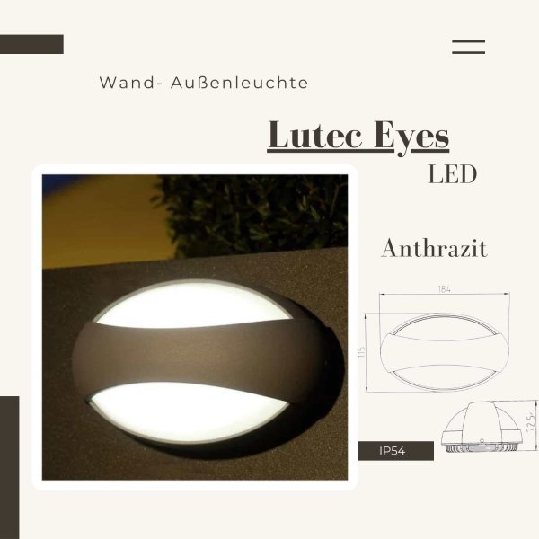 Au&szlig;enleuchte Lutec Eco Light Eyes LED Anthrazit Wandleuchte Gartenlampe
