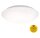 LED Deckenleuchte Elipso, Weiß, 15 Watt, 4000K, IP44, Ø 29 cm – Briloner