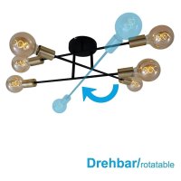 Briloner  schwarz-pale gold Deckenlampe 6-flammig